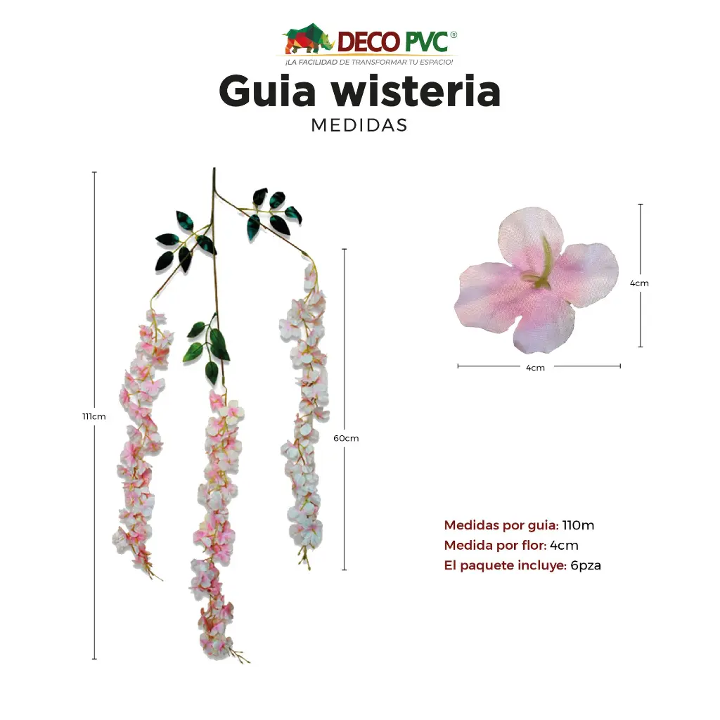 ACTUALIZACIÓN-04.webp