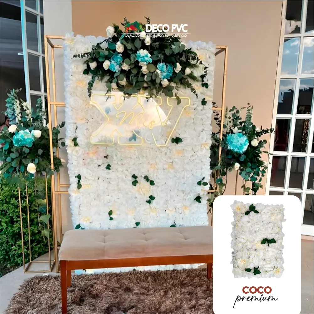 Coco.webp