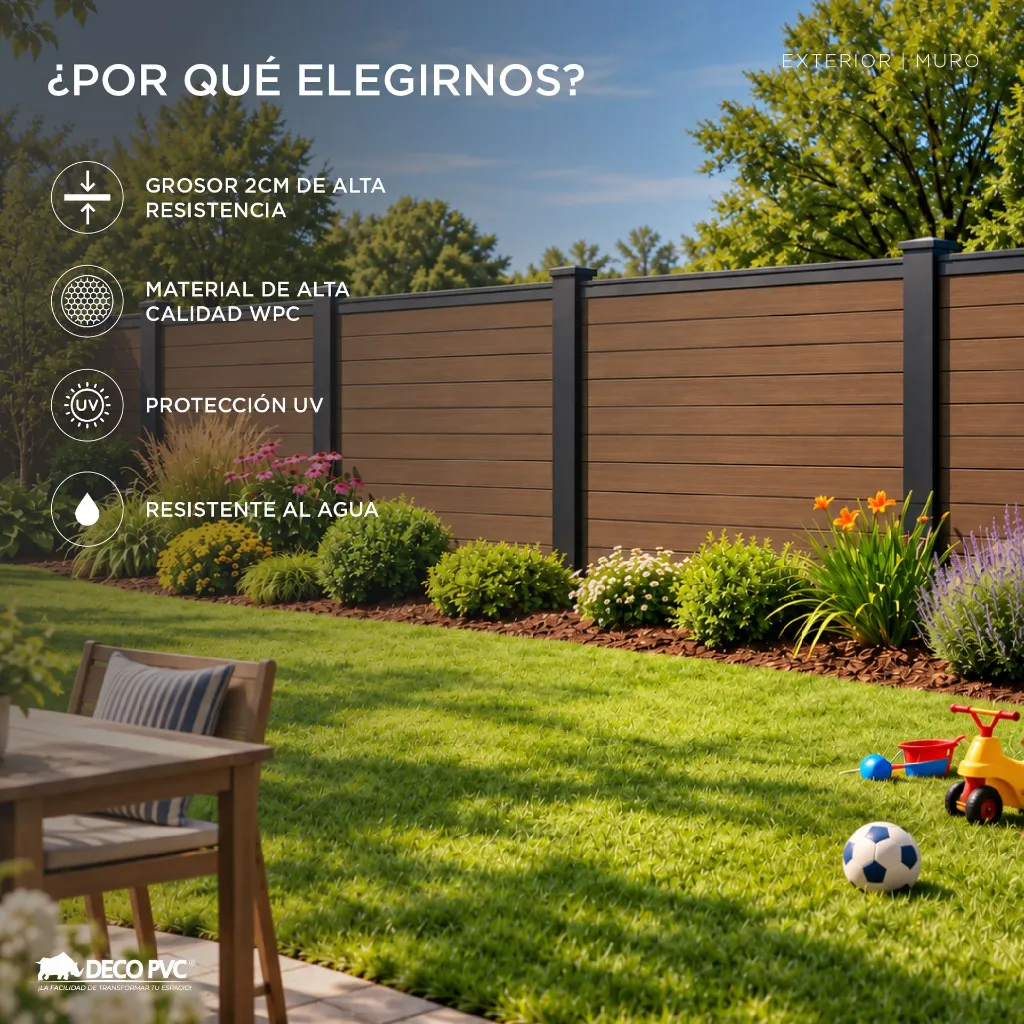 Plantilla amazon-03.webp