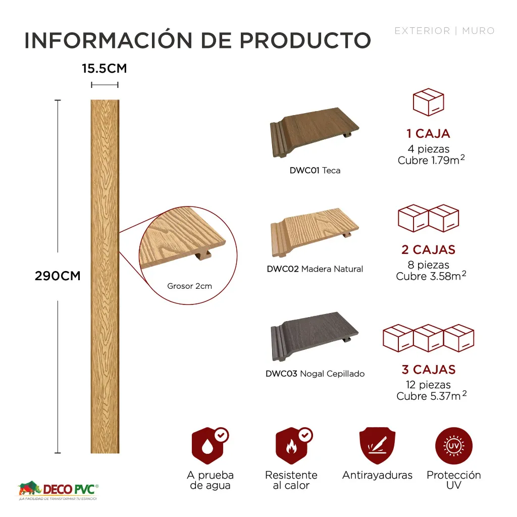 Plantilla amazon-05.webp