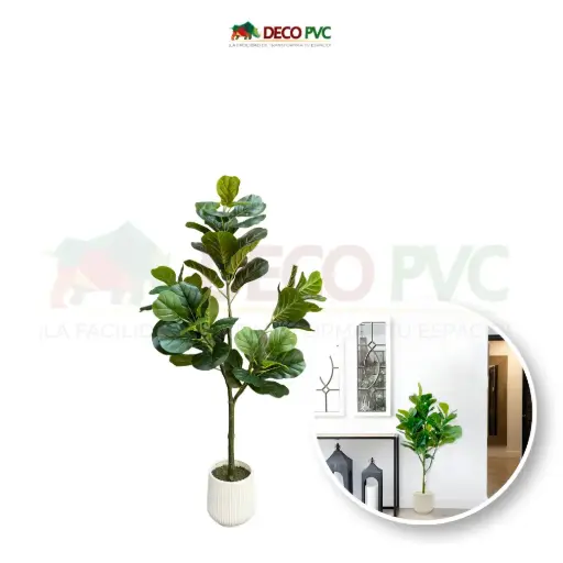 Planta Pandurata con maceta - DECOFLORA®